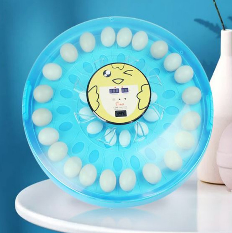 Smile 52 Automatic Egg Incubator