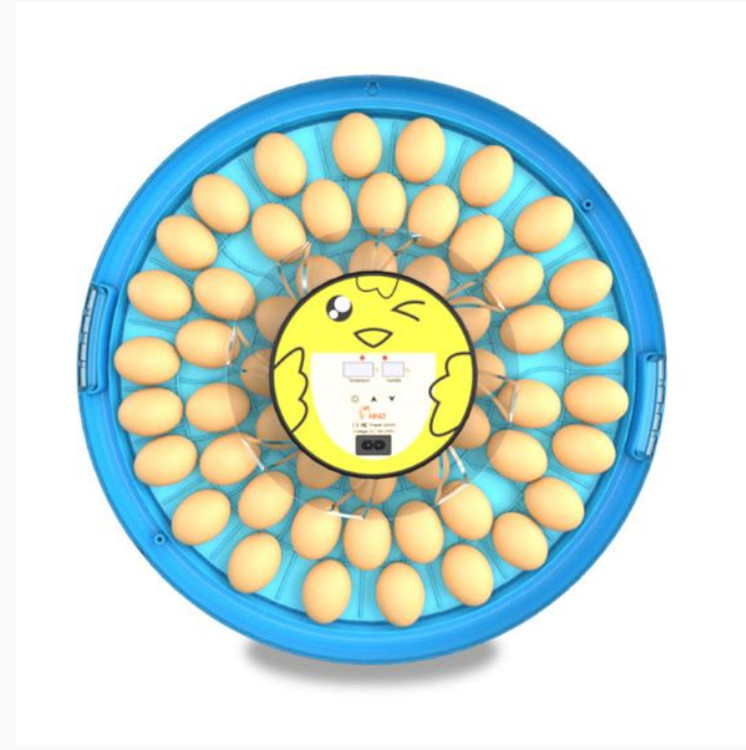 Smile 52 Automatic Egg Incubator