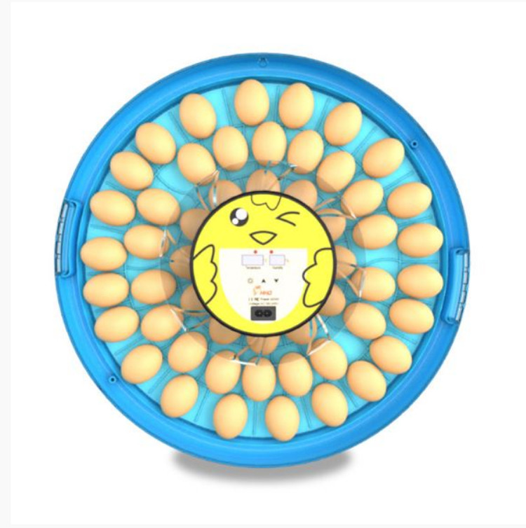 Smile 52 Automatic Egg Incubator