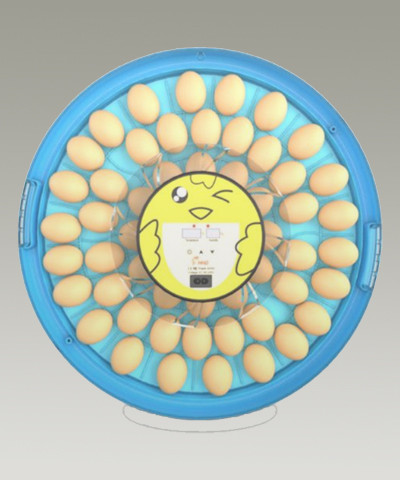 Smile 52 Automatic Egg Incubator