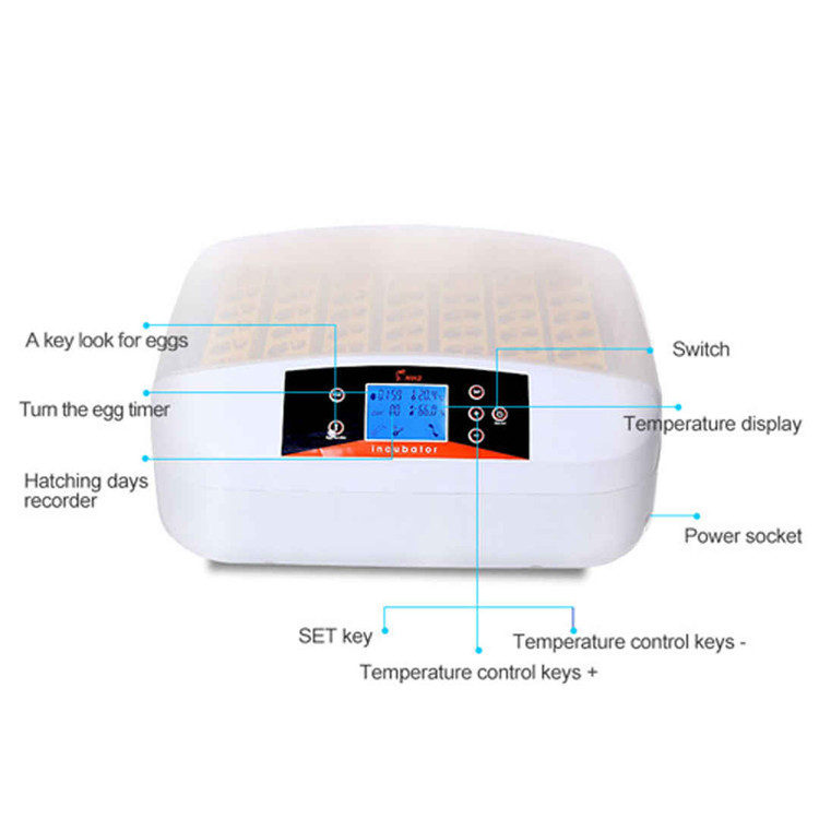 َAutomatic Egg Incubator 56