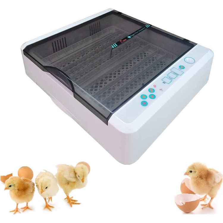 َAutomatic Egg Incubator 36