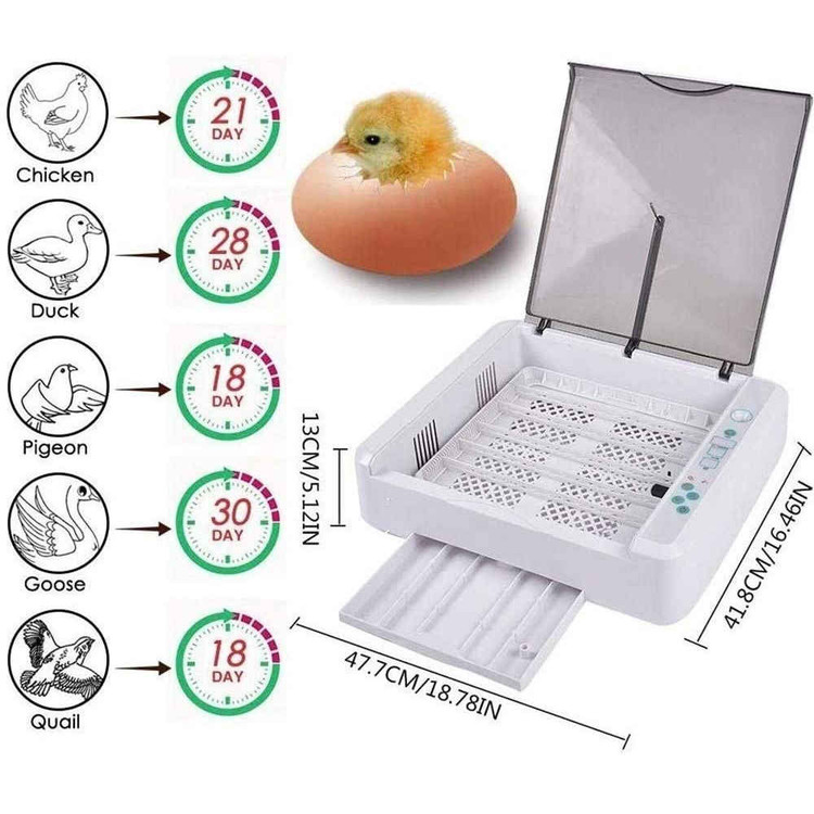 َAutomatic Egg Incubator 36