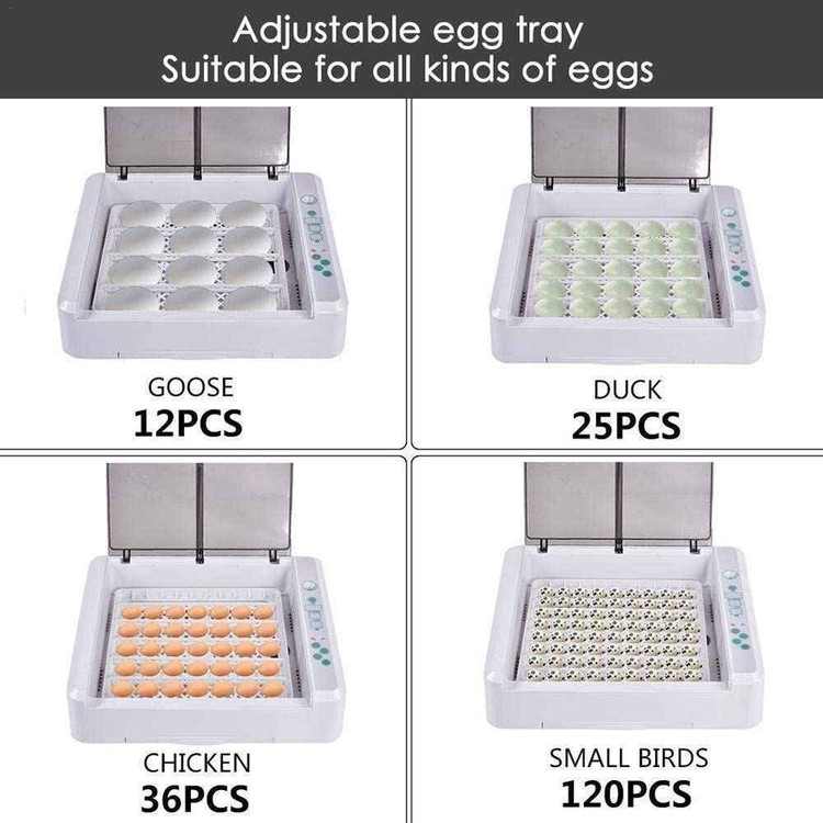 َAutomatic Egg Incubator 36