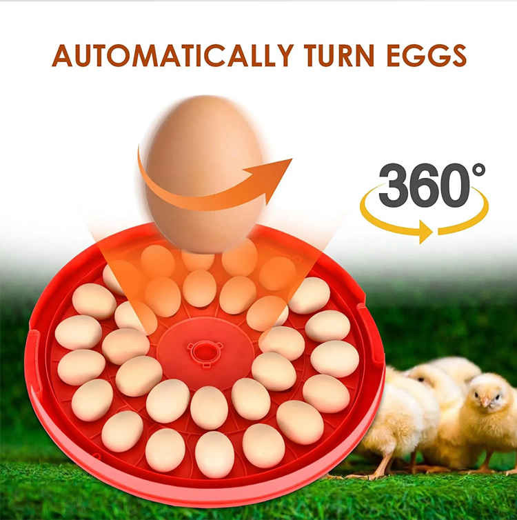 َAutomatic Egg Incubator 30 smile