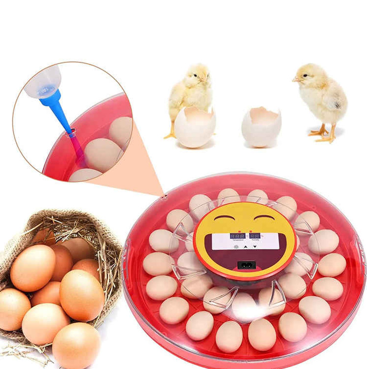َAutomatic Egg Incubator 30 smile