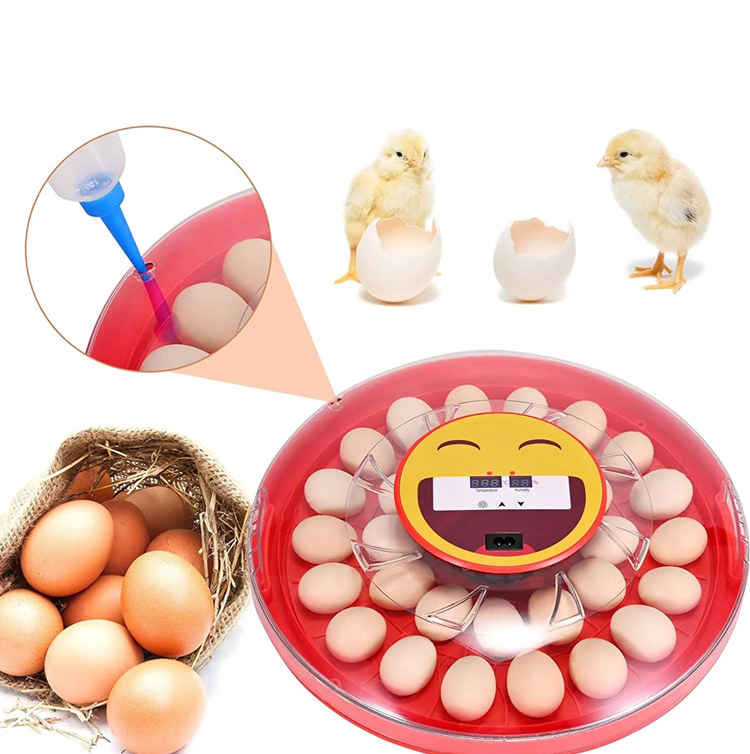 َAutomatic Egg Incubator 30 smile
