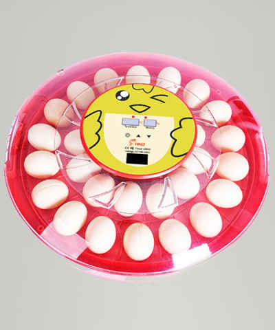 َAutomatic Egg Incubator 30 smile
