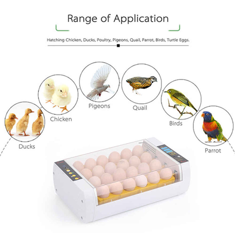 َAutomatic Egg Incubator 24