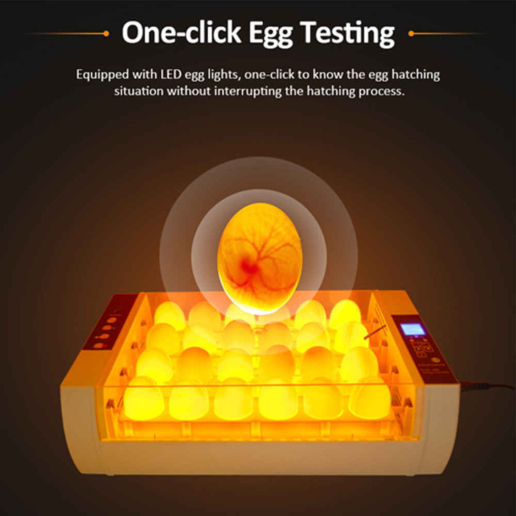 َAutomatic Egg Incubator 24