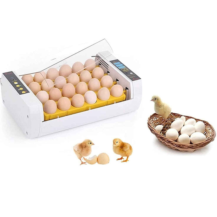 َAutomatic Egg Incubator 24
