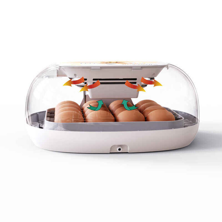 َAutomatic Egg Incubator 16