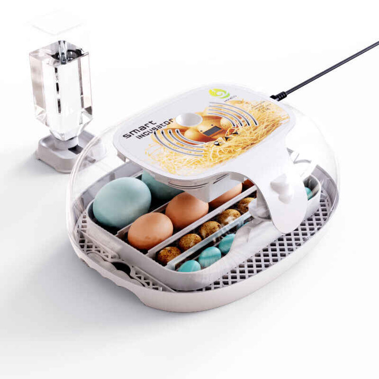 َAutomatic Egg Incubator 16