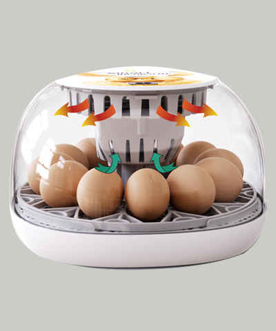 َAutomatic Egg Incubator 12