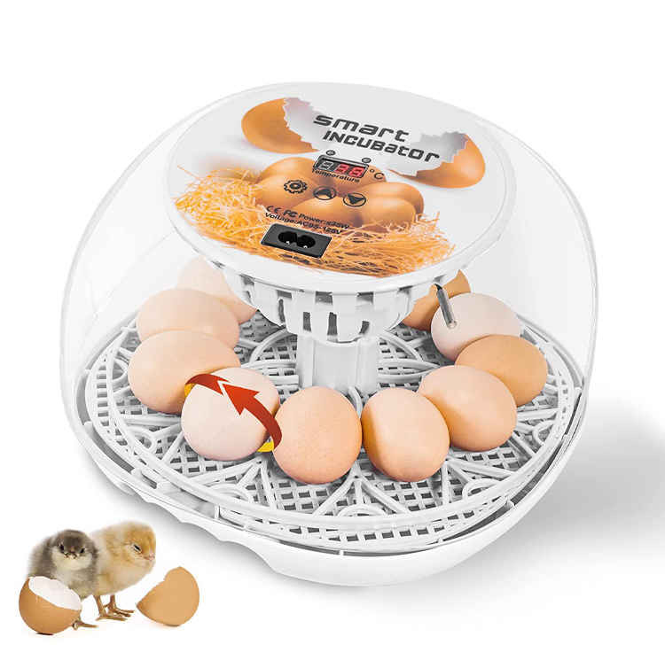 َAutomatic Egg Incubator 12