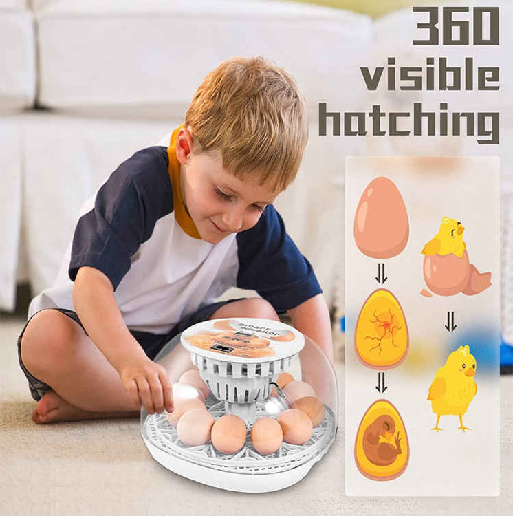 َAutomatic Egg Incubator 12