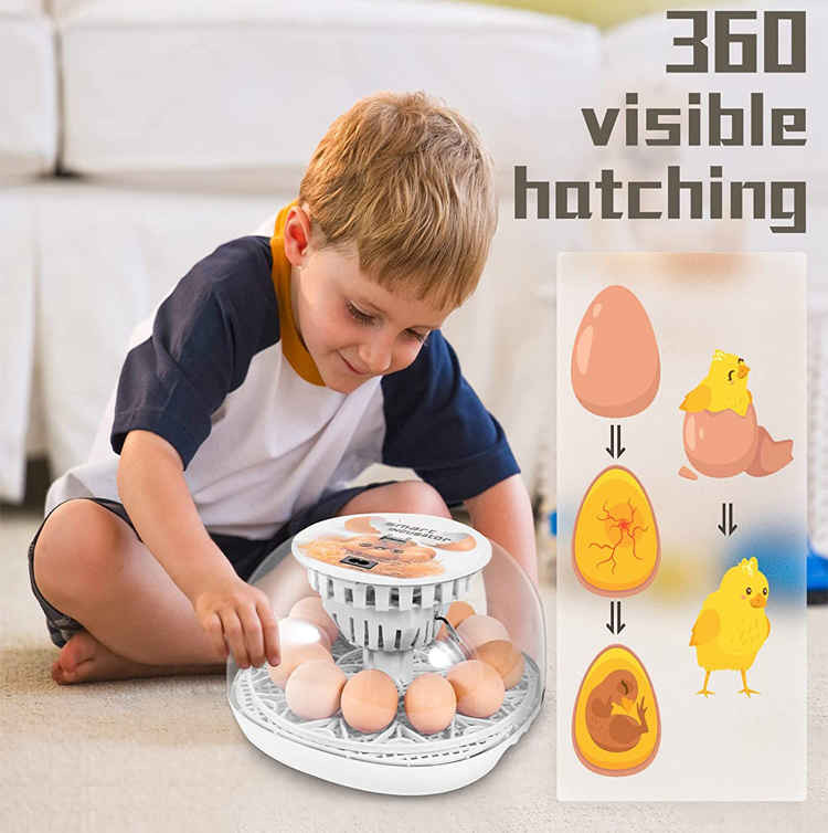 َAutomatic Egg Incubator 12
