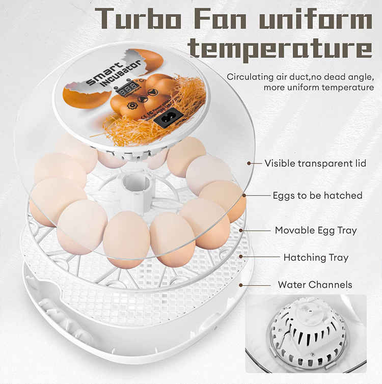 َAutomatic Egg Incubator 12