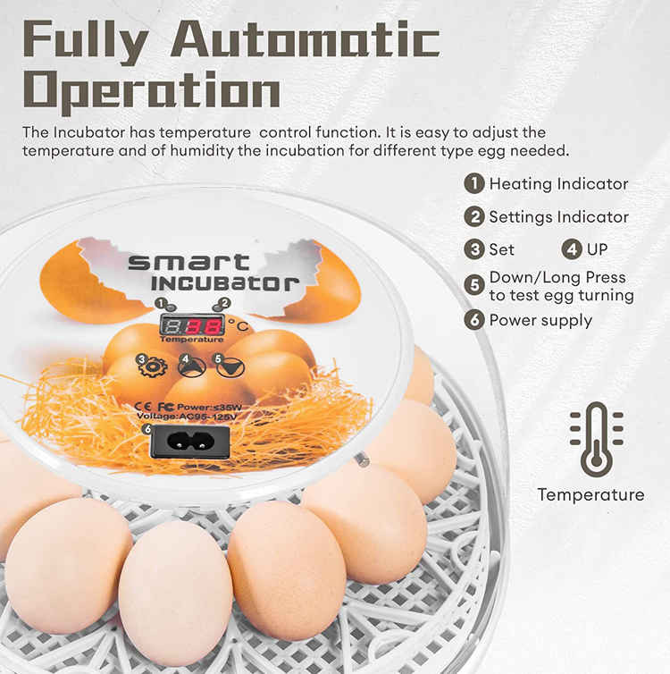 َAutomatic Egg Incubator 12