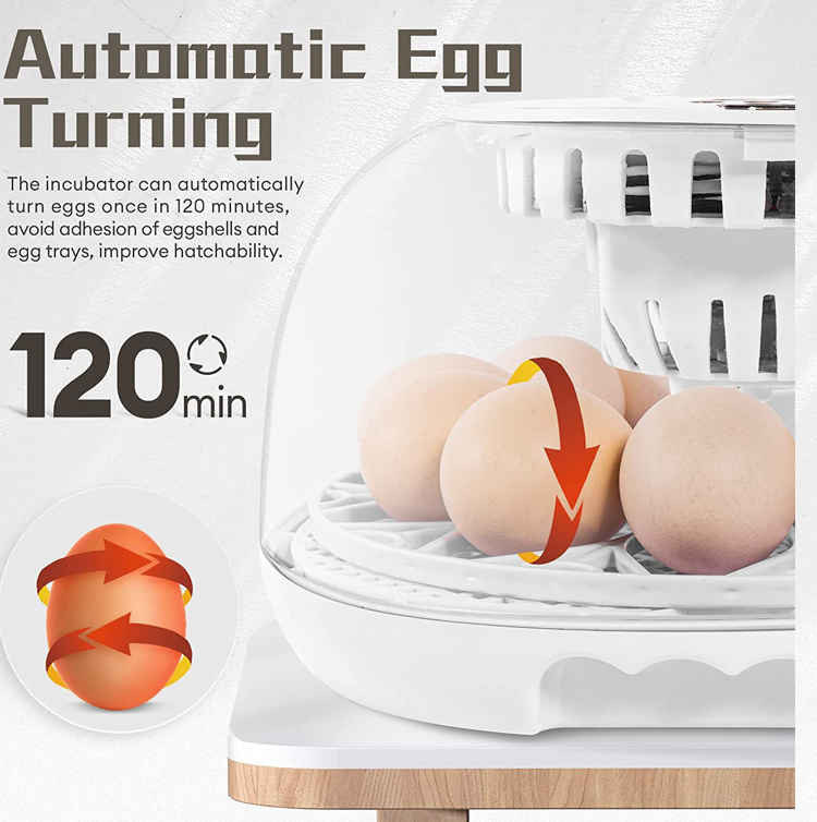 َAutomatic Egg Incubator 12