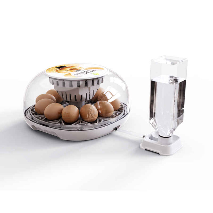 َAutomatic Egg Incubator 12