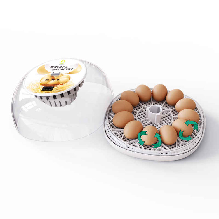 َAutomatic Egg Incubator 12
