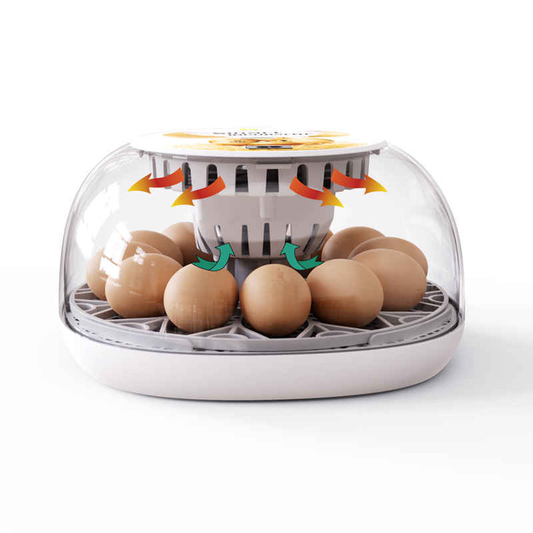 َAutomatic Egg Incubator 12