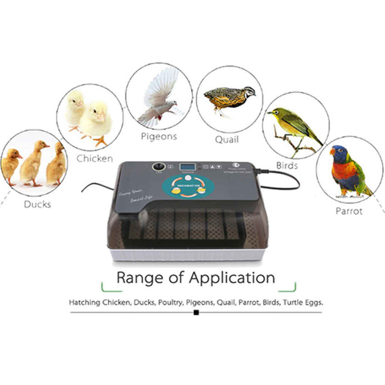 َAutomatic Egg Incubator 12