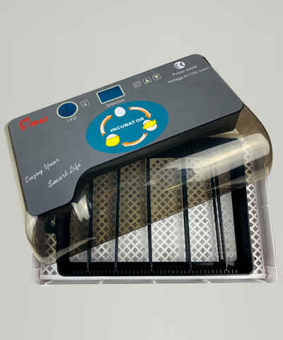 َAutomatic Egg Incubator 12