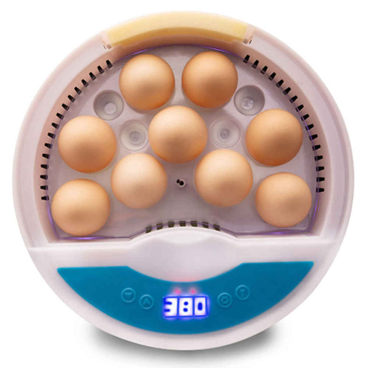 َEgg Incubator 9 eggs