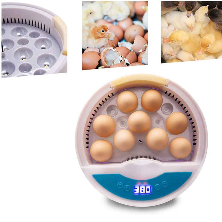 َEgg Incubator 9 eggs