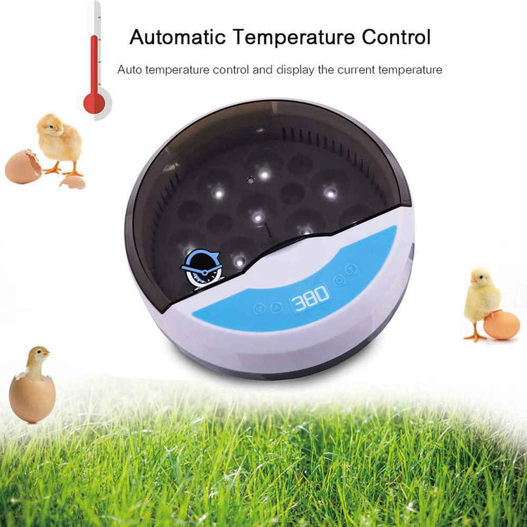 َEgg Incubator 9 eggs