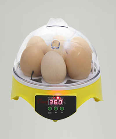 َEgg Incubator 7 eggs